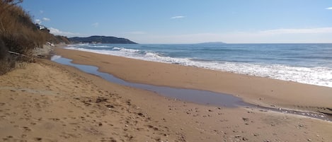 On the beach, sun-loungers