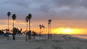 A beach with palm trees and a sunset. - Craftsman house 500 yards to beach and short walk to many restaurants (Long Beach)