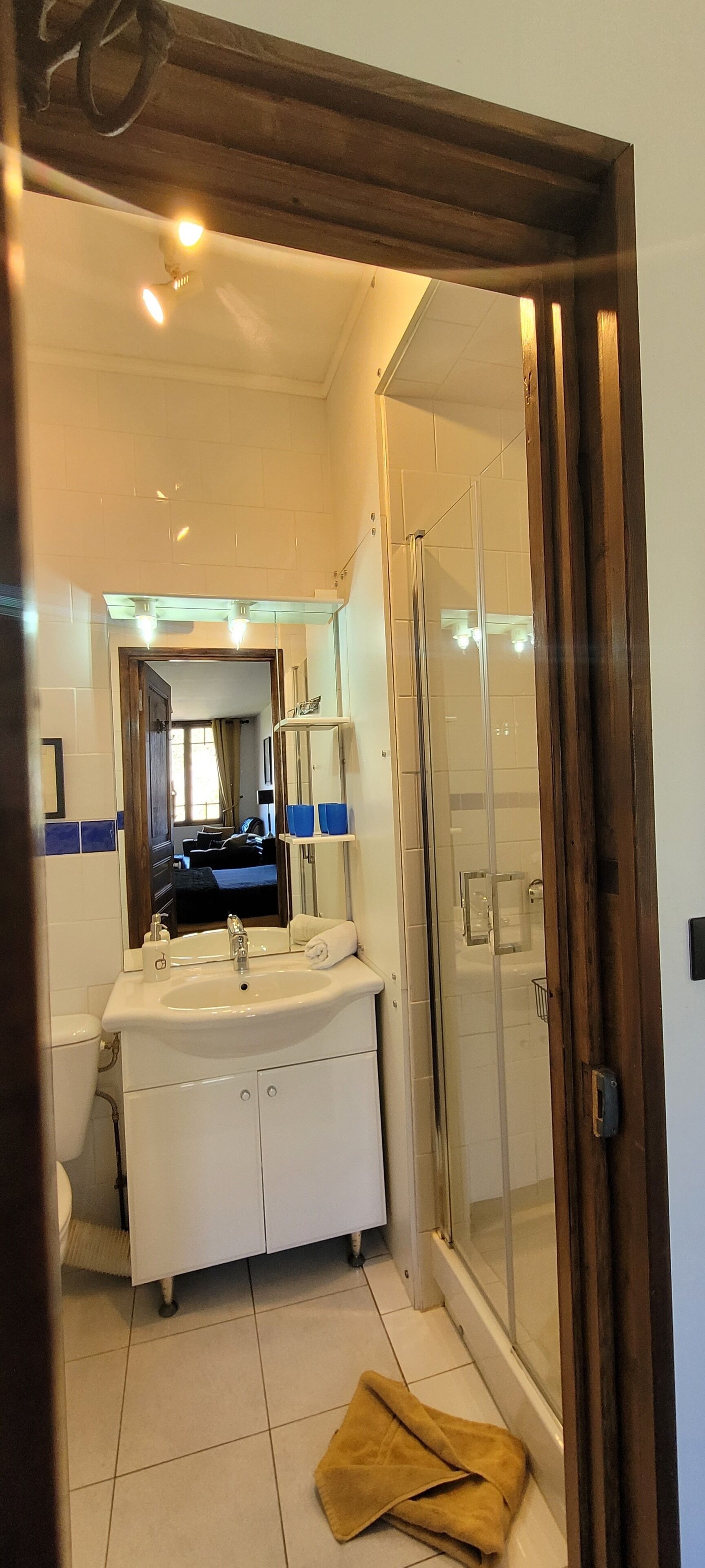 尊榮雙人房 | 浴室 | 吹風機、毛巾