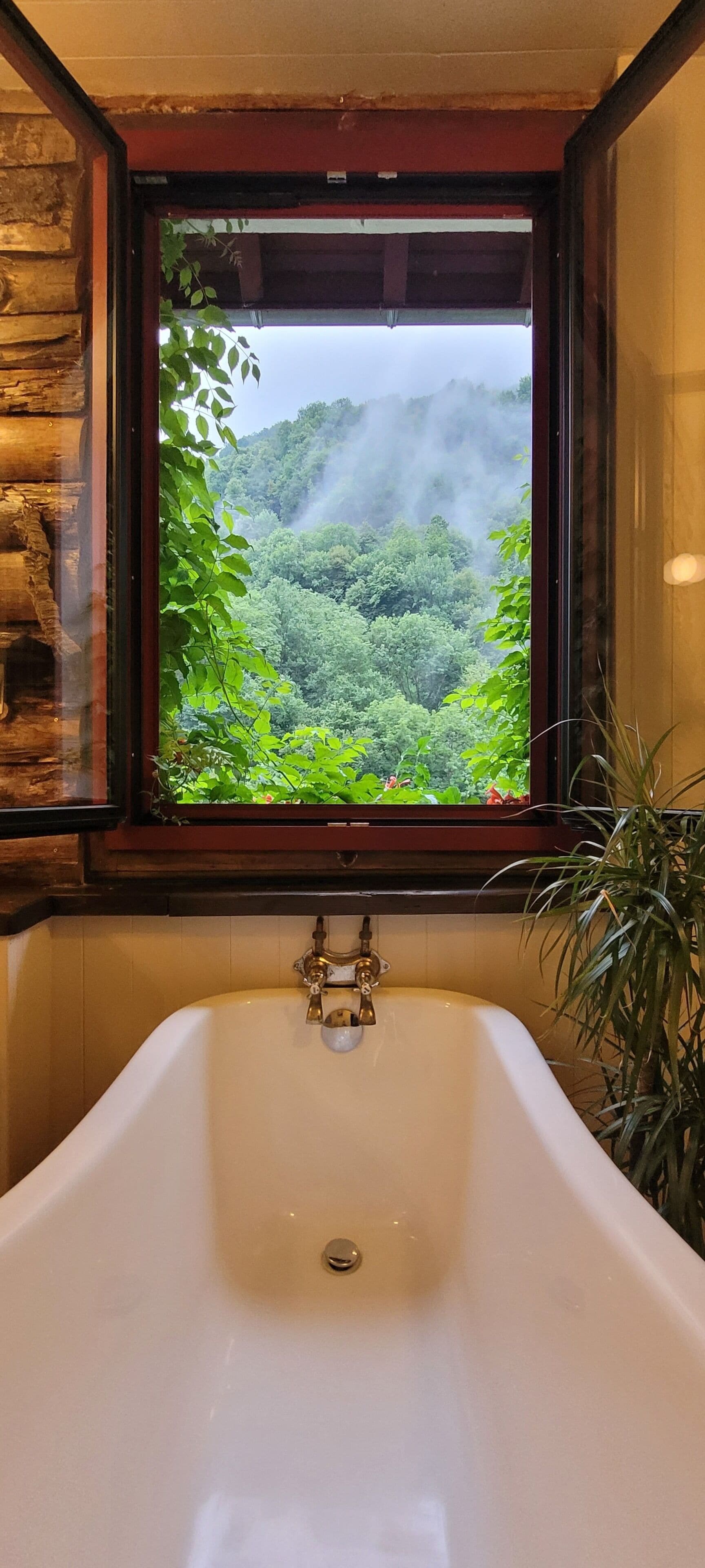 Una bañera con vistas a un bosque a través de una ventana.