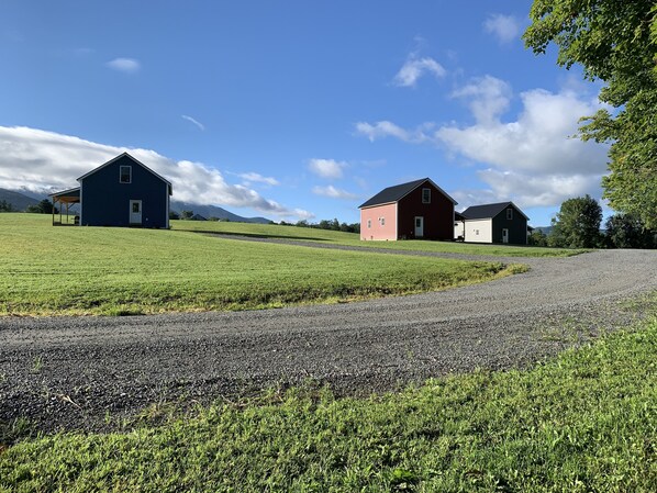 Explore the serene countryside with a scenic gravel path leading to rustic farm buildings amidst open grassy fields.