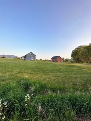 Property grounds - Clover Meadow Sugarhouse, pet friendly, close to Smugglers Notch (Cambridge)