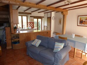 TV, fireplace, ping pong