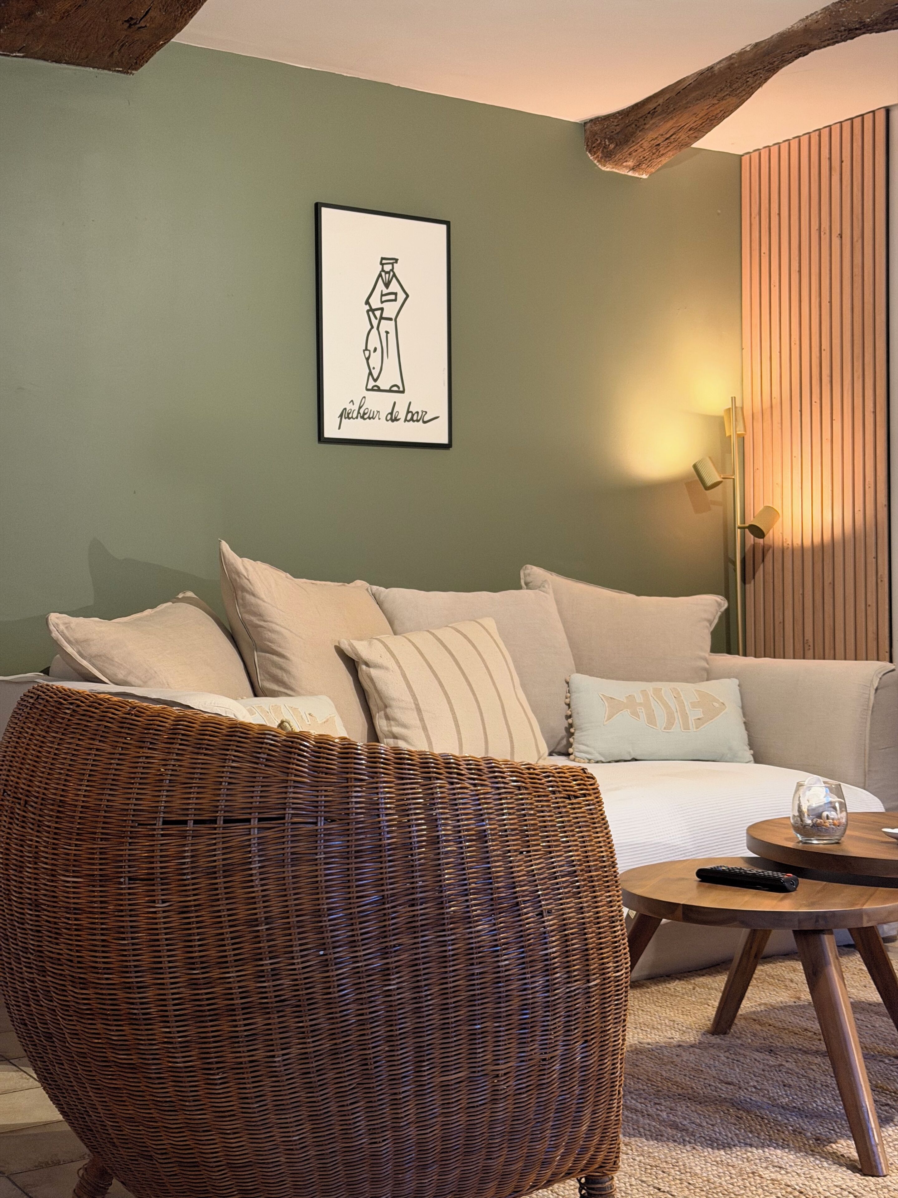 TV connectée, cheminée, lecteur de DVD, livres