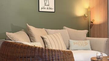 TV connectée, cheminée, lecteur de DVD, livres