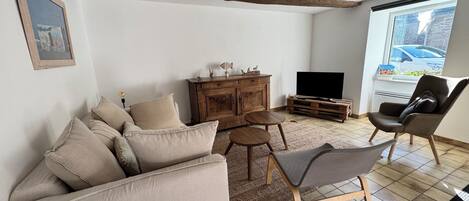 TV connectée, cheminée, lecteur de DVD, livres