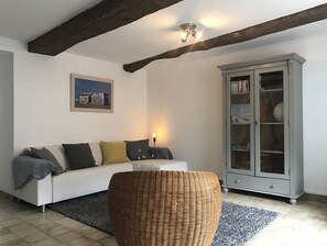 Smart TV, fireplace, DVD player, books