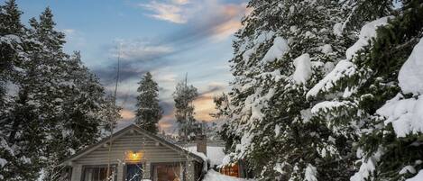 Modernized, Real-Log Homestead