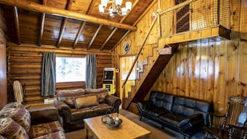 Älytelevisio, takka, videopelejä, kirjoja