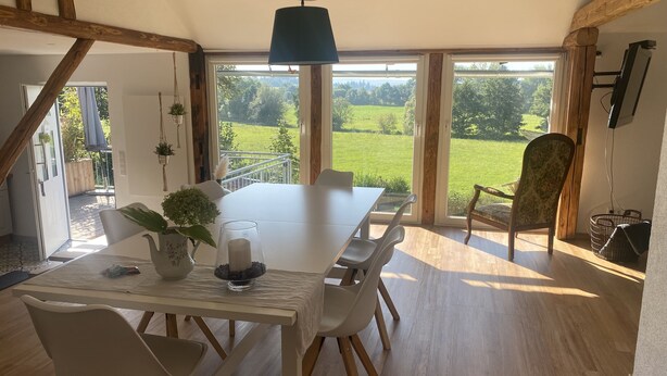 Ein Essbereich mit einem großen Tisch, Stühlen, einer Pflanze in einer Vase und einer hängenden Lampenleuchte.