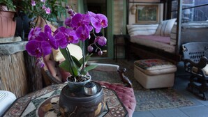 Ein Zimmer mit Fliesenboden, einem gemusterten Tisch, einer kleinen Vase mit lila Blumen, einem Sessel, einem Sofa und einem Fenster mit Blick.