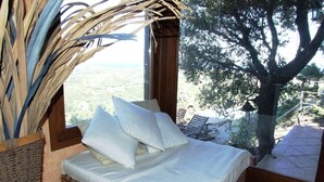A wicker bed with white linens in a room with a view of a tree and landscape. - Villa Vista, from the terrace a stunning view to  Costa Smeralda and the Islands (Sardegna)