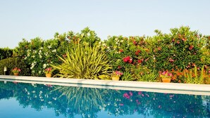 A swimming pool with a clear blue water surface, surrounded by lush green plants and flowering shrubs.