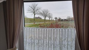 Ett fönster med utsikt över en gräsklädd äng och träd, en vit spetsgardin, en lampa och en grön vattenkanna på fönsterbrädan.