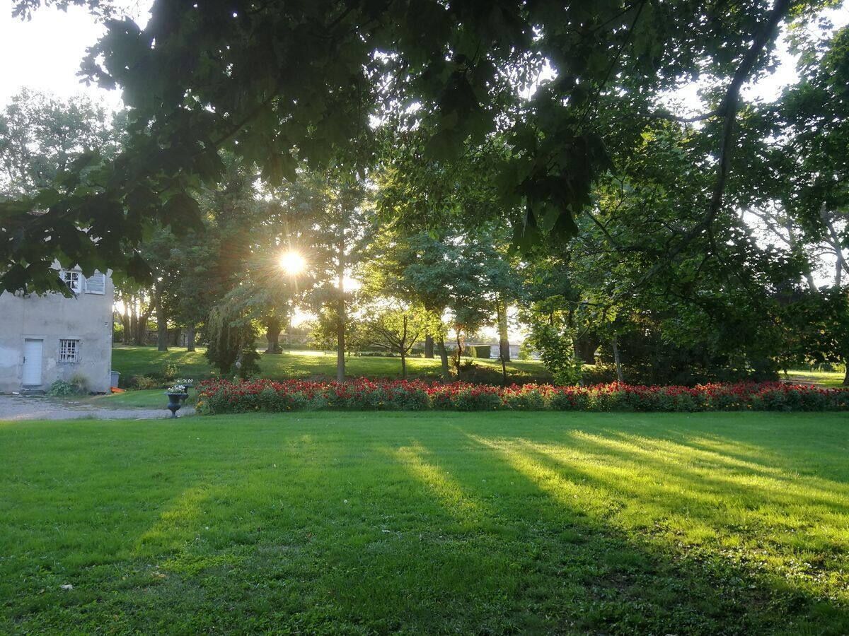 A grassy area with a building, trees, and a flower bed.