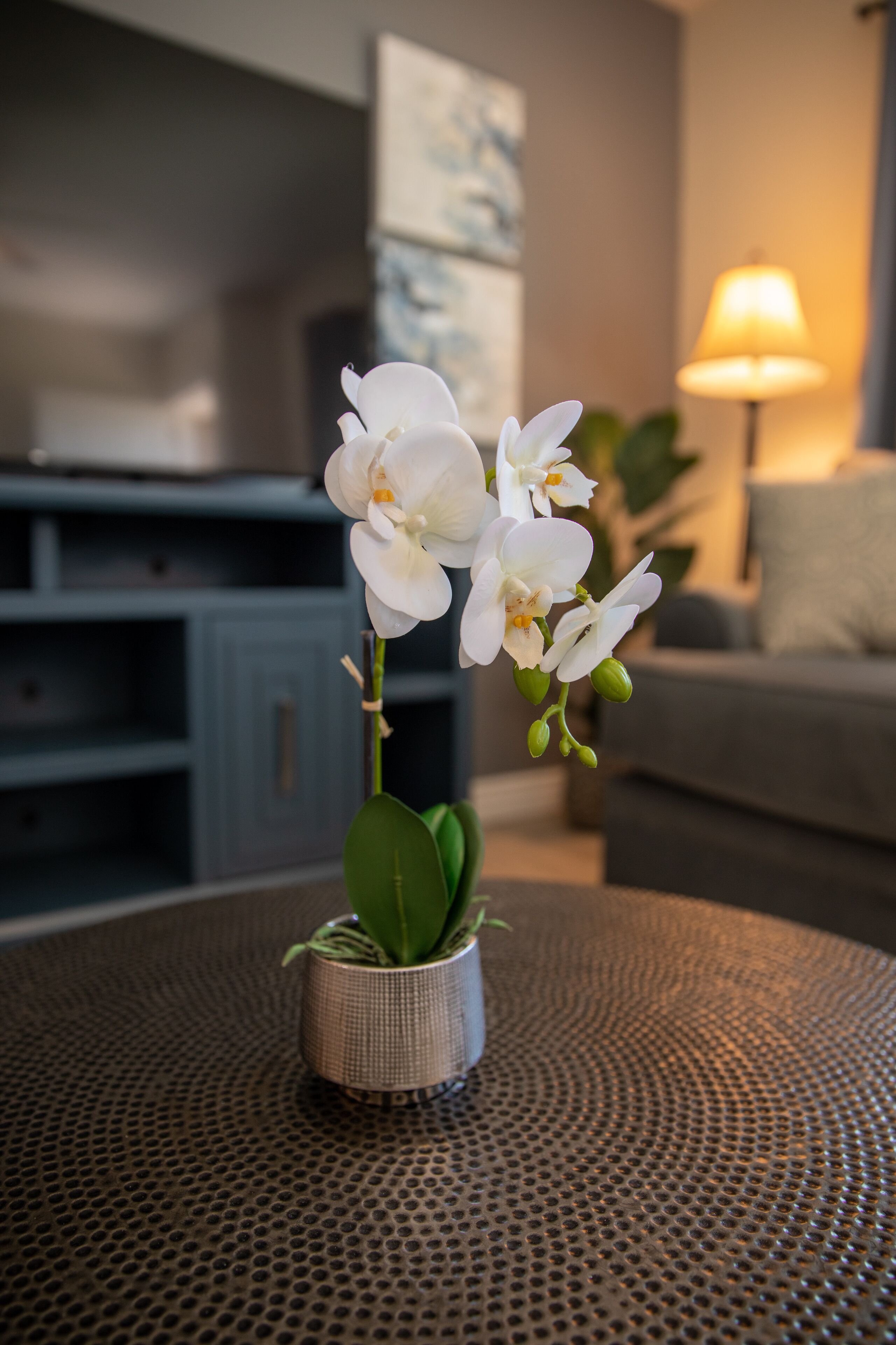 Discover AZ from a cozy 4-BR home near Downtown and Airport