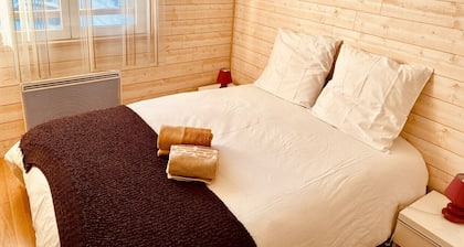 2 room apartment in the center close to the slopes