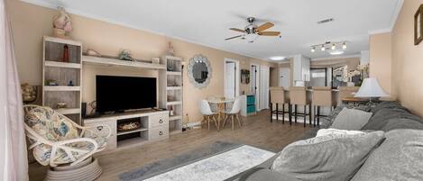 TV, Netflix, streaming services