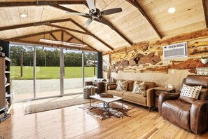 Televisión, chimenea, libros y estéreo 