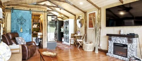 TV, fireplace, books, stereo