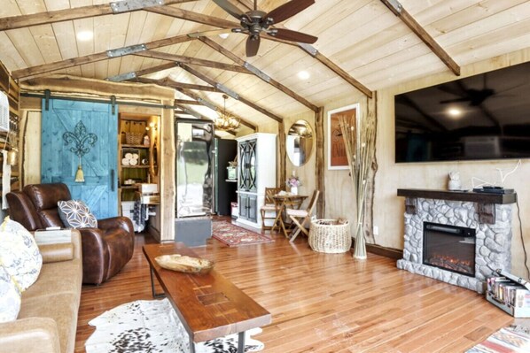 TV, fireplace, books, stereo