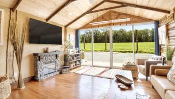 TV, fireplace, books, stereo