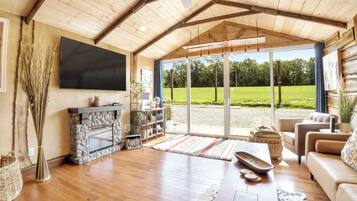 TV, caminetto, libri, impianto stereo
