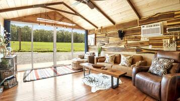 Televisor, llar de foc, llibres i estèreo