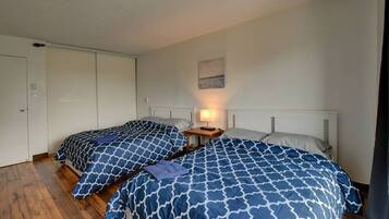 1 chambre, fer et planche à repasser, Wi-Fi, literie fournie