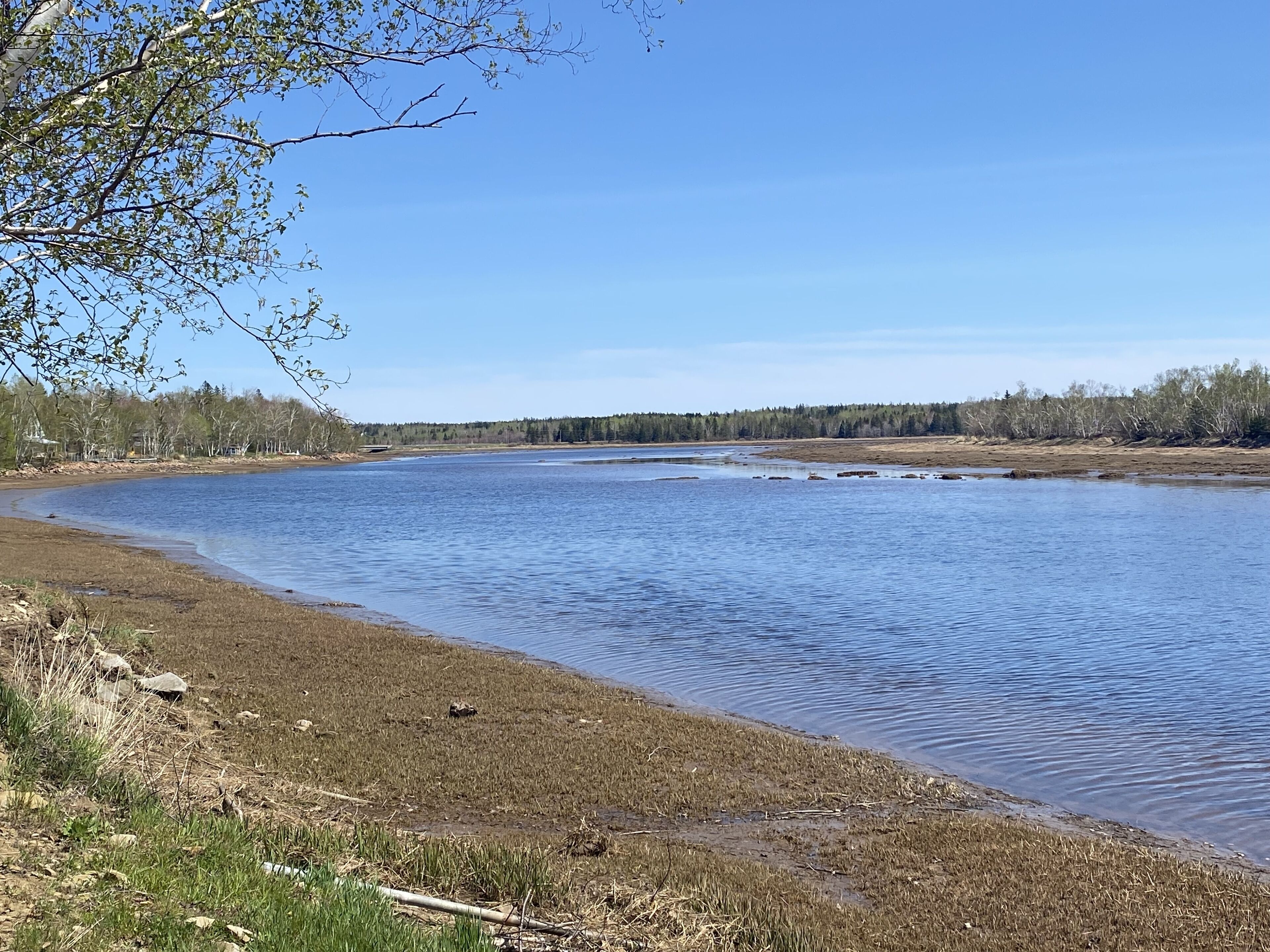 Solsenger og strandhåndklær