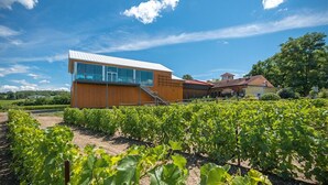A modern building with large glass windows, surrounded by a vineyard. - Cottage Tranquility family waterfront mountains (Dunham)