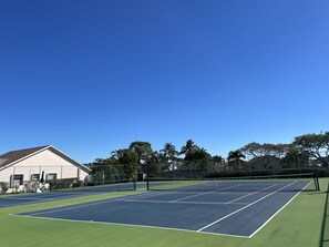 Sport court - Centrally located home close to all Jupiter has to offer! PET FRIENDLY! (Jupiter)