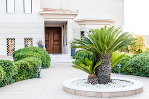 Stroll through the serene garden, surrounded by lush greenery and a majestic palm tree, to the entrance of our hotel.