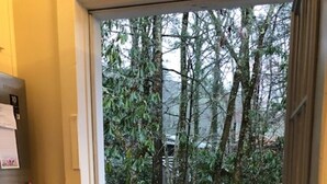 Puerta que da a un espacio exterior con terraza de madera, banco y vistas a árboles y un cuerpo de agua.