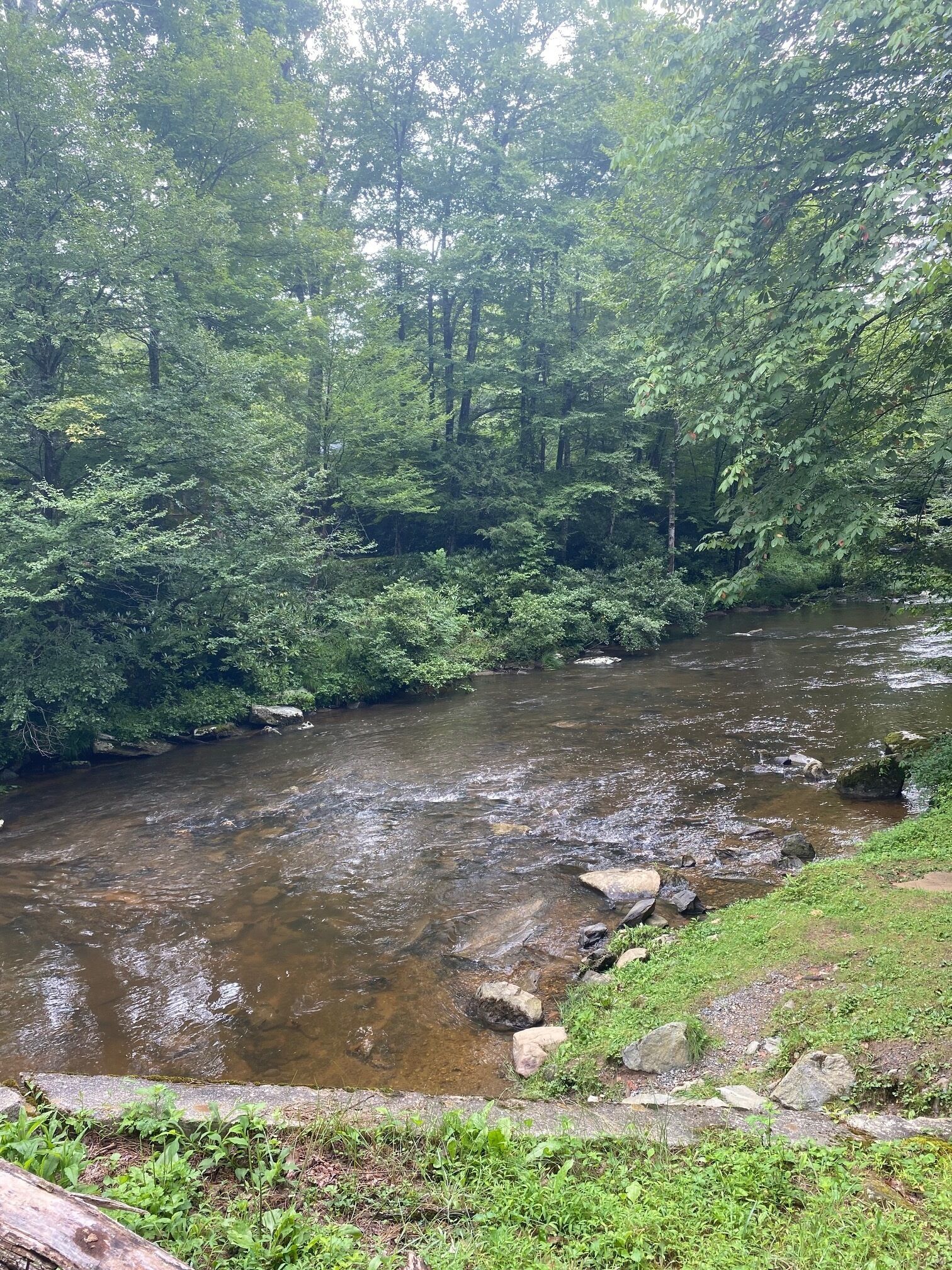 A river flowing through a forested area with rocks and greenery along the banks.