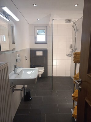 Shower, hair dryer, towels, soap