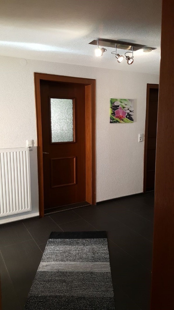 A hallway with a wooden door, a radiator, a black rug, and a ceiling light fixture.