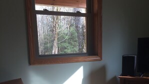 A room with a wooden chair, a television, and a window with a view of trees. - Tea Creek Mountain Cabin (Marlinton)