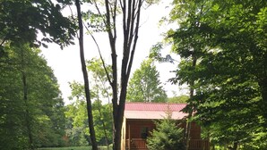 A rustic cabin surrounded by dense forest, with a gravel driveway leading to the entrance. - Tea Creek Mountain Cabin (Marlinton)