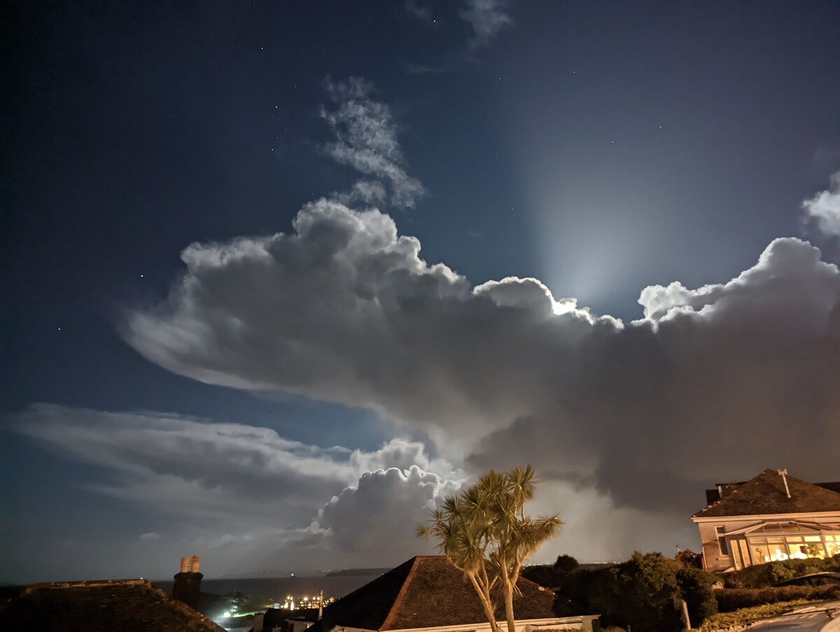 Imagen de perfil del propietario o de la propietaria