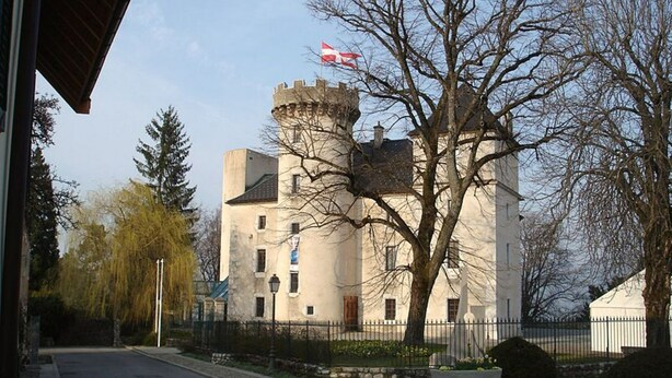 A castle-like building with a flag, a paved road, and leafless trees.