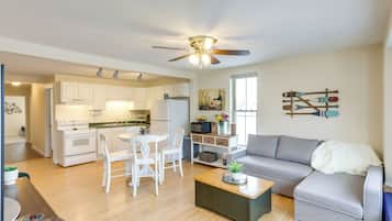 TV, fireplace, video games, DVD player