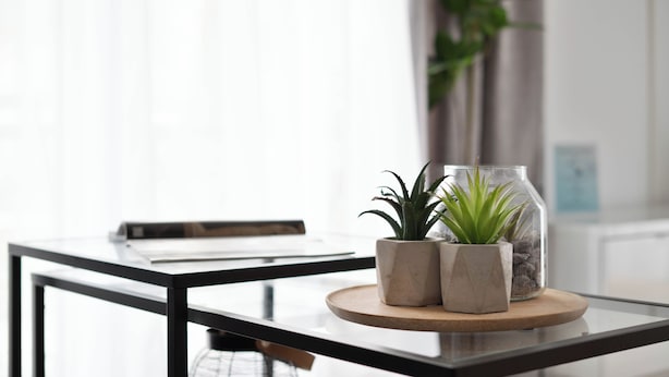 A modern dining table with a glass top, two potted plants, and a glass jar with rocks. - Deluxe apartment in the centre of OS (Osnabrueck)
