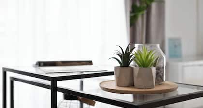 Deluxe apartment in the centre of OS