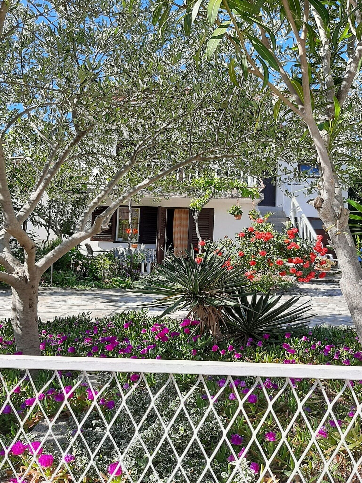 Área da propriedade