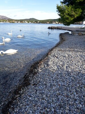 Beach - Apartment by the Beach - Two Bedroom Apartment with Terrace and Sea View (Šibenik)