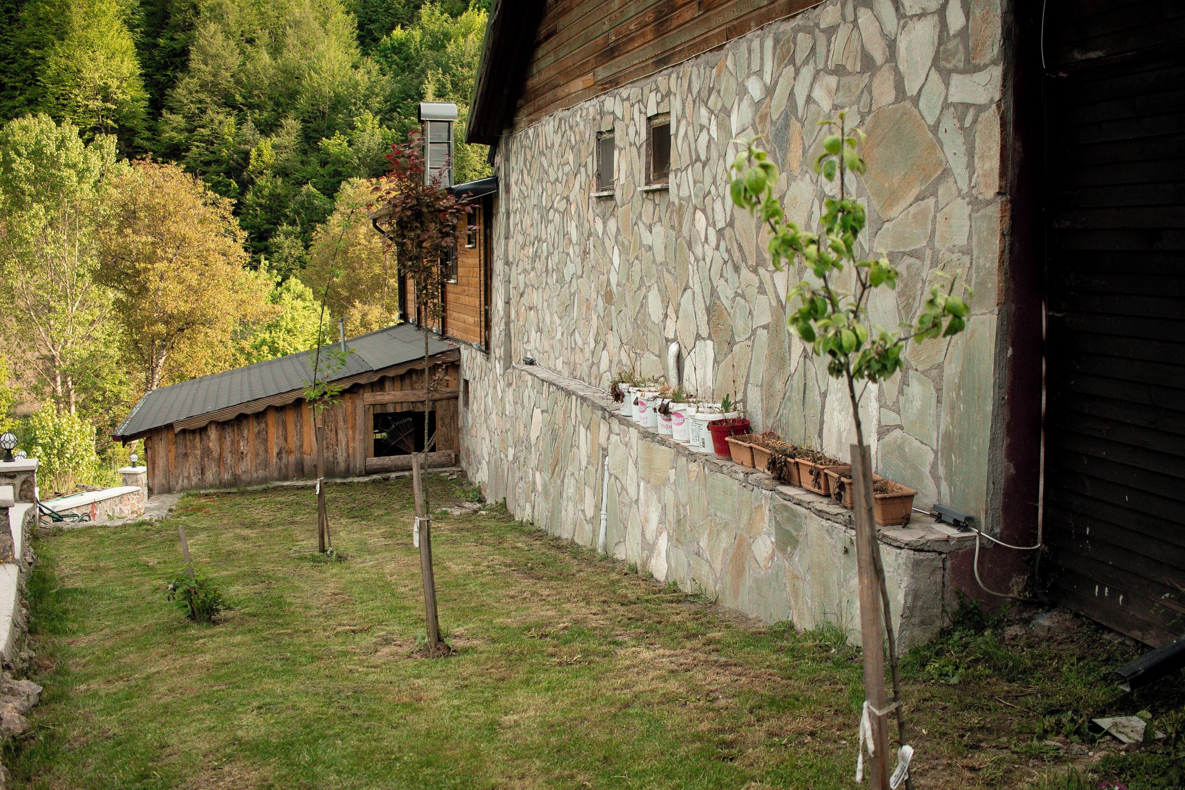 Jardín