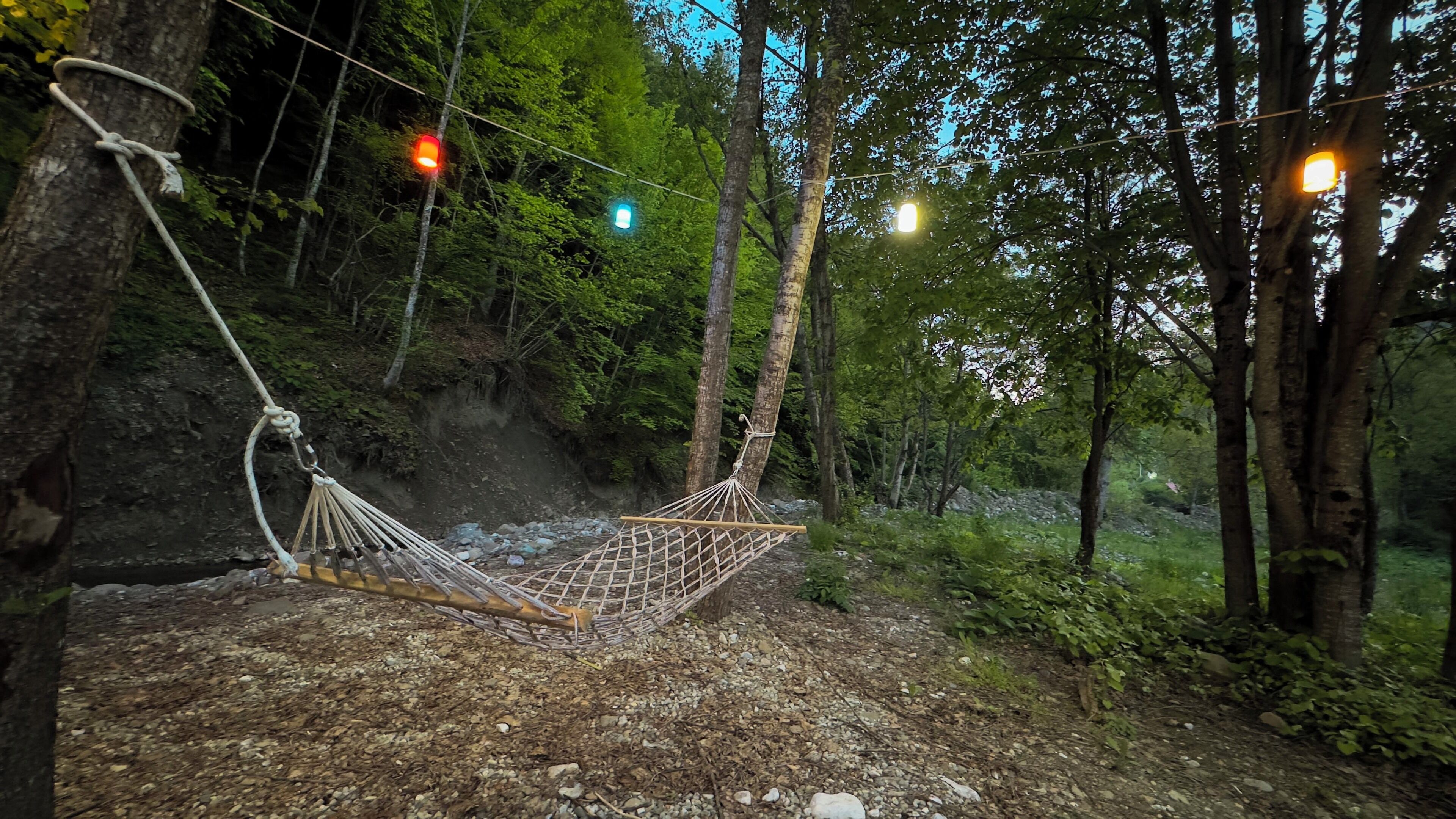 A hammock tied between trees in a forested area with a rocky ground.