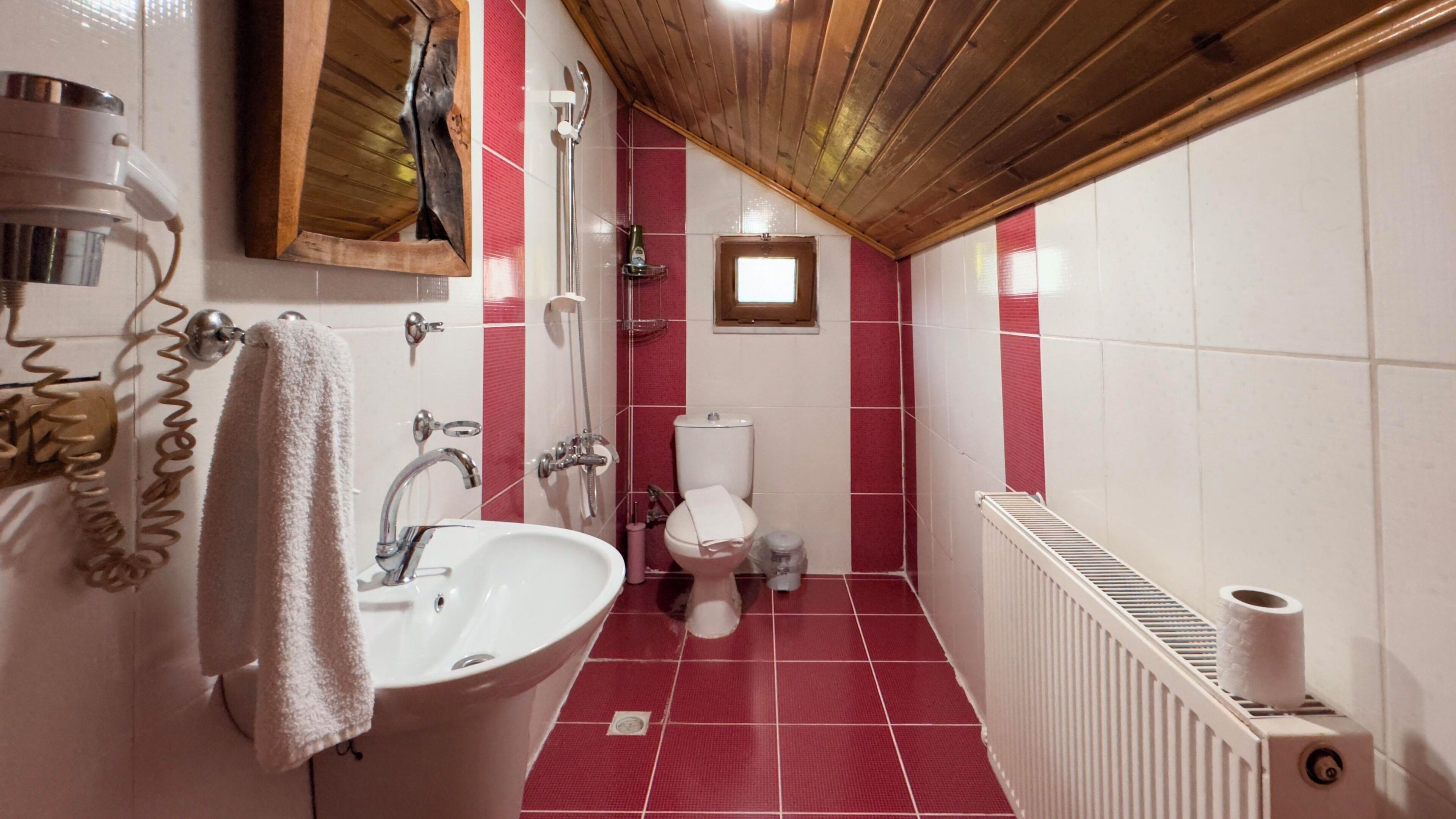 Een kleine badkamer met een wastafel, toilet en douche.