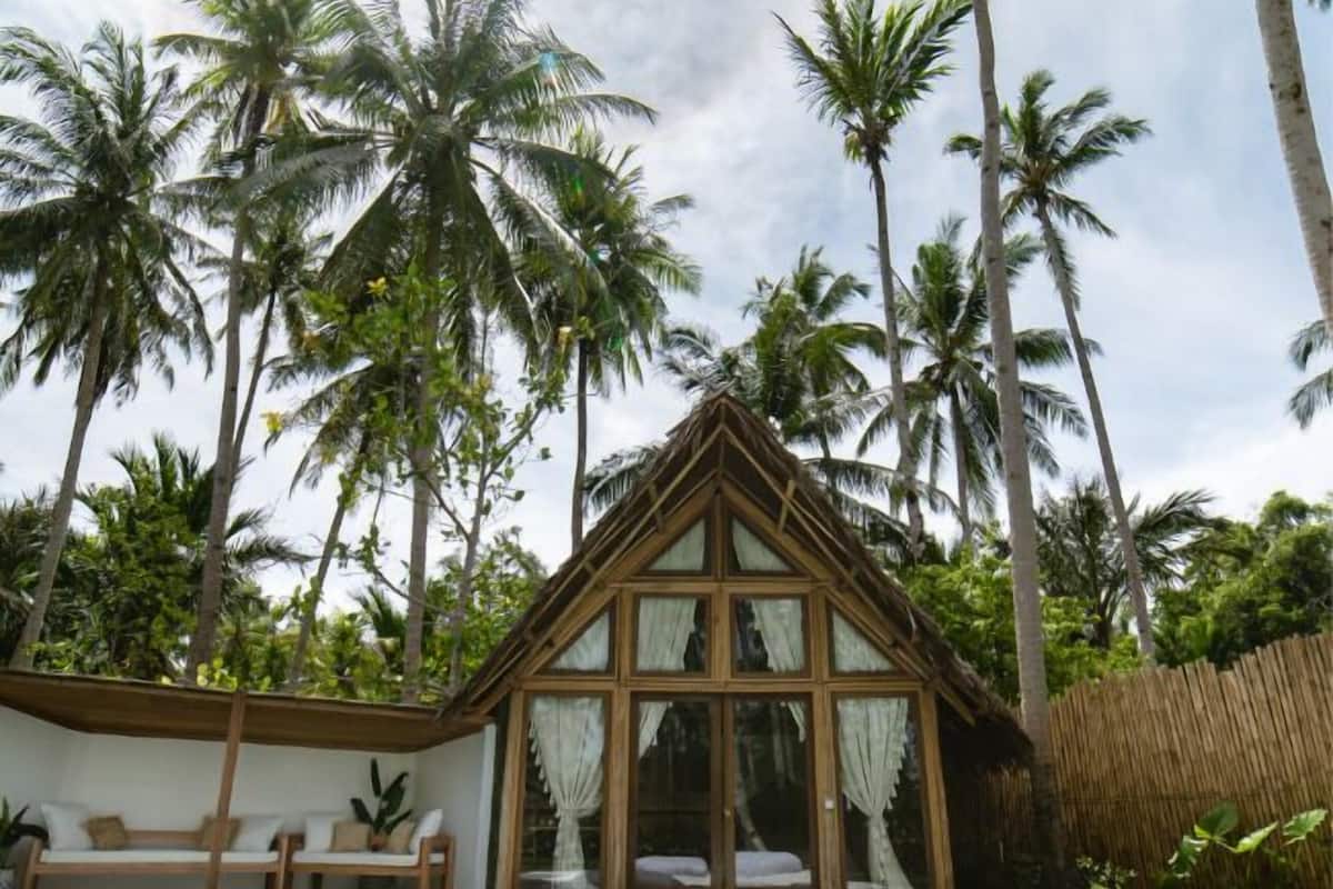 A house with a pool, surrounded by palm trees.
